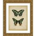 thumbnail image 1 of Vision Studio 15x18 Gold Ornate Wood Framed with Double Matting Museum Art Print Titled - Antique Butterfly Pair II, 1 of 4