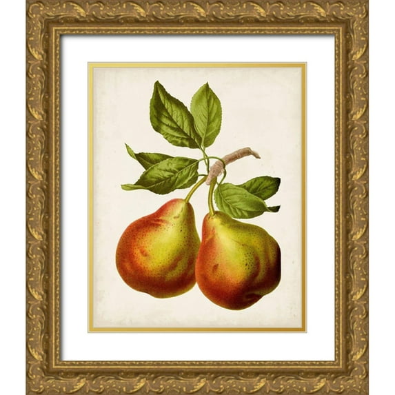 Vision Studio 15x18 Gold Ornate Wood Framed with Double Matting Museum Art Print Titled - Antique Fruit XI