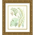 thumbnail image 1 of Vision Studio  15x18 Gold Ornate Wood Framed with Double Matting Museum Art Print Titled - Antique Seaweed Composition I, 1 of 4