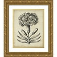 thumbnail image 1 of Vision Studio 15x18 Gold Ornate Wood Framed with Double Matting Museum Art Print Titled - Distinguished Floral II, 1 of 4