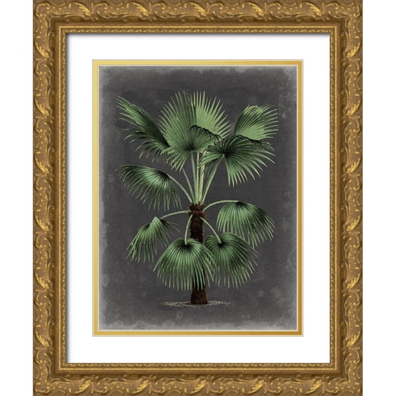 Vision Studio 15x18 Gold Ornate Wood Framed with Double Matting Museum Art Print Titled - Dramatic Palm II