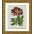 thumbnail image 1 of Vision Studio 15x18 Gold Ornate Wood Framed with Double Matting Museum Art Print Titled - Floral Gems II, 1 of 4