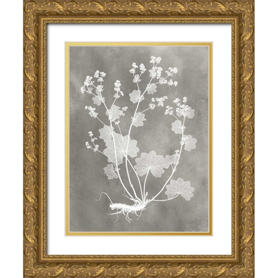 Vision Studio 15x18 Gold Ornate Wood Framed with Double Matting Museum Art Print Titled - Herbarium Study I
