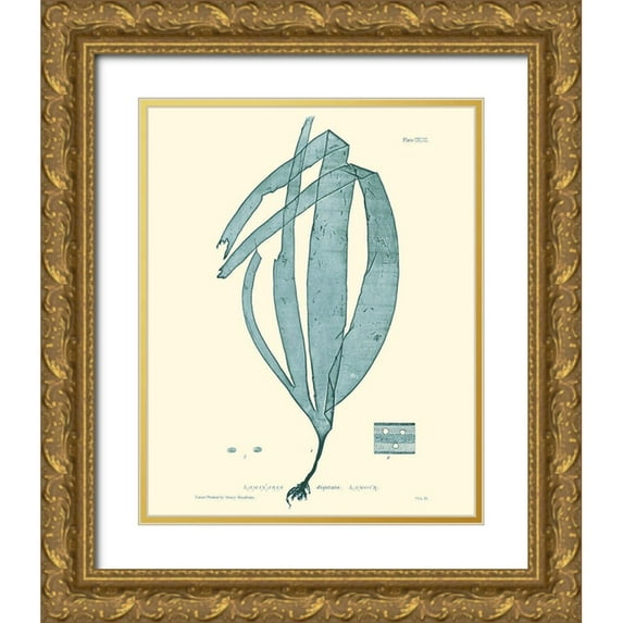 Vision Studio 15x18 Gold Ornate Wood Framed with Double Matting Museum Art Print Titled - Nature Print in Aqua II