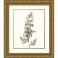thumbnail image 1 of Vision Studio  15x18 Gold Ornate Wood Framed with Double Matting Museum Art Print Titled - Neutral Botanical Study V, 1 of 4
