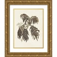 thumbnail image 1 of Vision Studio 15x18 Gold Ornate Wood Framed with Double Matting Museum Art Print Titled - Sepia Botanicals III, 1 of 4