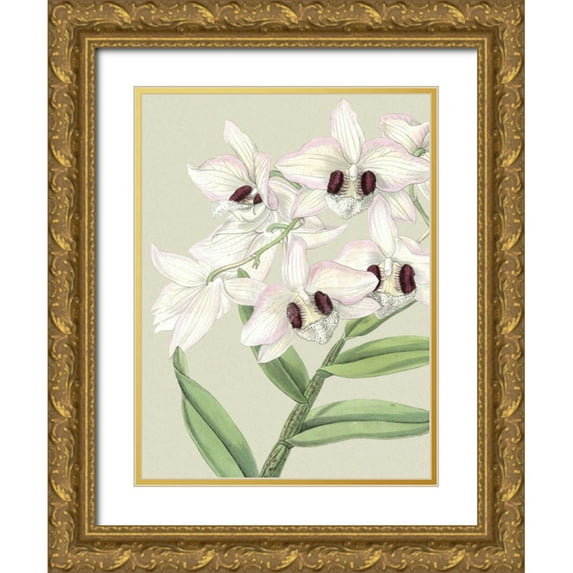 Vision Studio 15x18 Gold Ornate Wood Framed with Double Matting Museum Art Print Titled - Small Orchid Blooms II