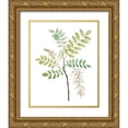 thumbnail image 1 of Vision Studio 15x18 Gold Ornate Wood Framed with Double Matting Museum Art Print Titled - Soft Green Botanical I, 1 of 4