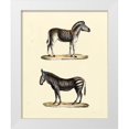 thumbnail image 1 of Vision Studio 15x18 White Modern Wood Framed Museum Art Print Titled - Animal Studies I, 1 of 4
