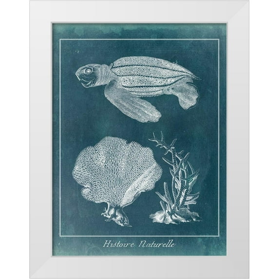 Vision Studio 15x18 White Modern Wood Framed Museum Art Print Titled - Azure Sea Turtle Study II
