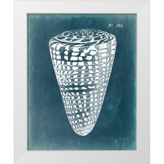 Vision Studio 15x18 White Modern Wood Framed Museum Art Print Titled - Azure Shell I