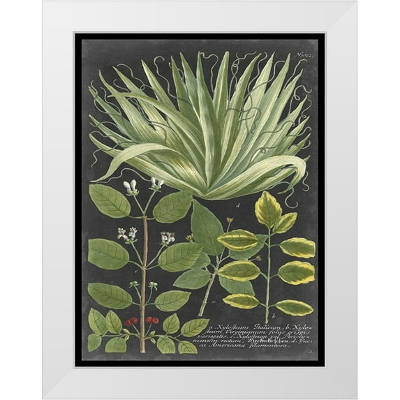 Vision Studio 15x18 White Modern Wood Framed Museum Art Print Titled - Dramatic Weinmann Greenery IV