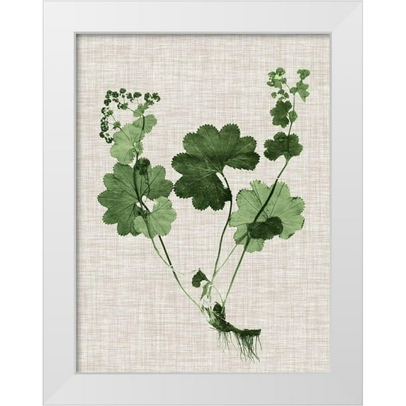 Vision Studio 15x18 White Modern Wood Framed Museum Art Print Titled - Forest Foliage on Linen I