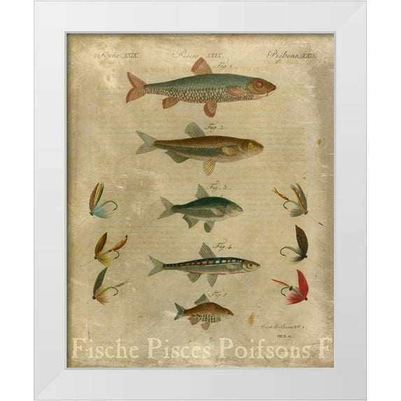 Vision Studio 15x18 White Modern Wood Framed Museum Art Print Titled - Pisces Composition I