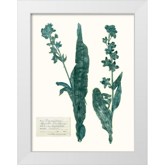 Vision Studio 15x18 White Modern Wood Framed Museum Art Print Titled - Pressed Flowers in Spa IV