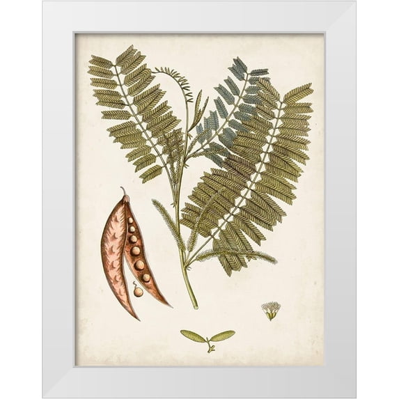 Vision Studio 15x18 White Modern Wood Framed Museum Art Print Titled - Vintage Charm VII