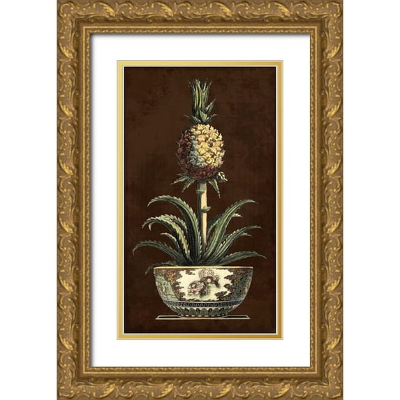 Vision Studio 15x24 Gold Ornate Wood Framed with Double Matting Museum Art Print Titled - Potted Pineapple II