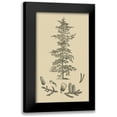 thumbnail image 1 of Vision Studio 16x24 Black Modern Framed Museum Art Print Titled - Arbor Study II, 1 of 5