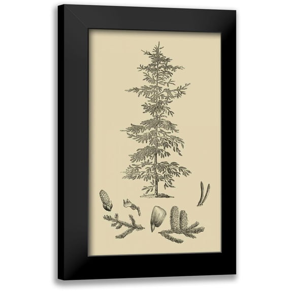Vision Studio 16x24 Black Modern Framed Museum Art Print Titled - Arbor Study II