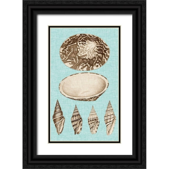 Vision Studio 16x24 Black Ornate Wood Framed with Double Matting Museum Art Print Titled - Sepia And Aqua Shells III