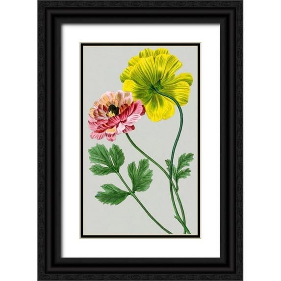 Vision Studio 16x24 Black Ornate Wood Framed with Double Matting Museum Art Print Titled - Vintage Garden Varieties I