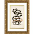 thumbnail image 1 of Vision Studio 16x24 Gold Ornate Wood Framed with Double Matting Museum Art Print Titled - Antique Snakes I, 1 of 4