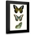 thumbnail image 1 of Vision Studio 17x24 Black Modern Framed Museum Art Print Titled - Butterfly Specimen VI, 1 of 5