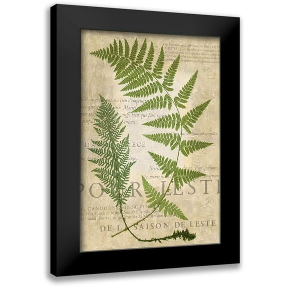 Vision Studio 17x24 Black Modern Framed Museum Art Print Titled - Fern Folio IV