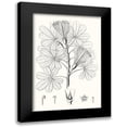 thumbnail image 1 of Vision Studio 17x24 Black Modern Framed Museum Art Print Titled - Illustrative Leaves II, 1 of 5
