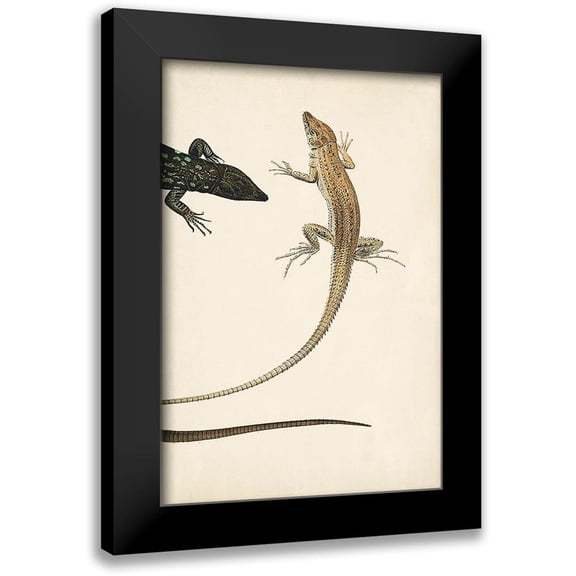 Vision Studio 17x24 Black Modern Framed Museum Art Print Titled - Lizard Diptych II