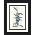 thumbnail image 1 of Vision Studio 17x24 Black Ornate Wood Framed with Double Matting Museum Art Print Titled - Flower Garden Varietals VI, 1 of 4