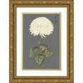 thumbnail image 1 of Vision Studio 17x24 Gold Ornate Wood Framed with Double Matting Museum Art Print Titled - Dramatic Ivory Mums I, 1 of 4