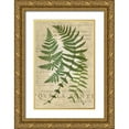 thumbnail image 1 of Vision Studio 17x24 Gold Ornate Wood Framed with Double Matting Museum Art Print Titled - Fern Folio I, 1 of 4
