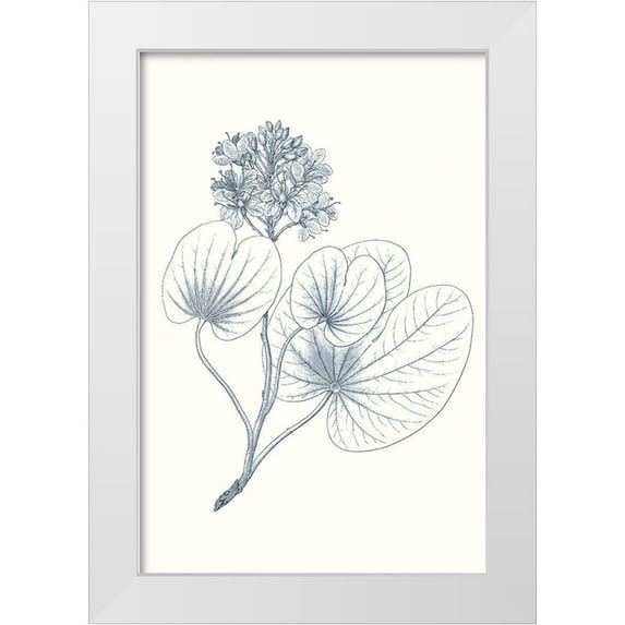 Vision Studio 17x24 White Modern Wood Framed Museum Art Print Titled - Indigo Botany Study IV