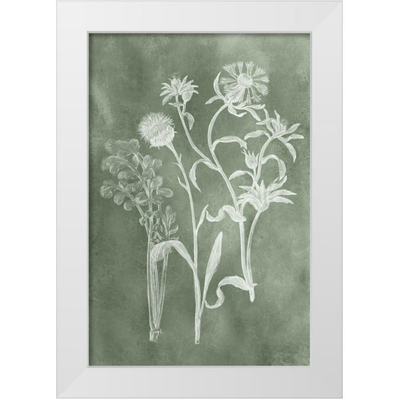 Vision Studio 17x24 White Modern Wood Framed Museum Art Print Titled - Sage Impressions II