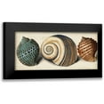 thumbnail image 1 of Vision Studio 18x10 Black Modern Framed Museum Art Print Titled - Shell Trio I, 1 of 5