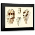 thumbnail image 1 of Vision Studio 18x15 Black Modern Framed Museum Art Print Titled - Splendid Shells VIII, 1 of 5