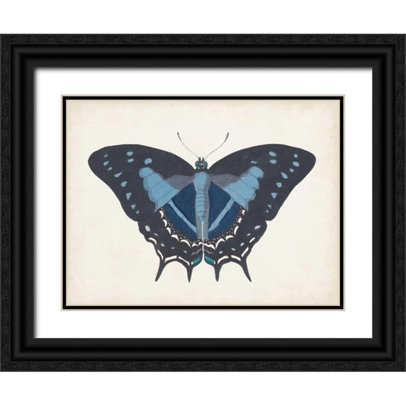 Vision Studio 18x15 Black Ornate Wood Framed with Double Matting Museum Art Print Titled - Beautiful Butterfly III