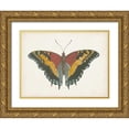 thumbnail image 1 of Vision Studio  18x15 Gold Ornate Wood Framed with Double Matting Museum Art Print Titled - Beautiful Butterfly IV, 1 of 4