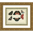 thumbnail image 1 of Vision Studio 18x15 Gold Ornate Wood Framed with Double Matting Museum Art Print Titled - Bookplate Butterflies Trio II, 1 of 4