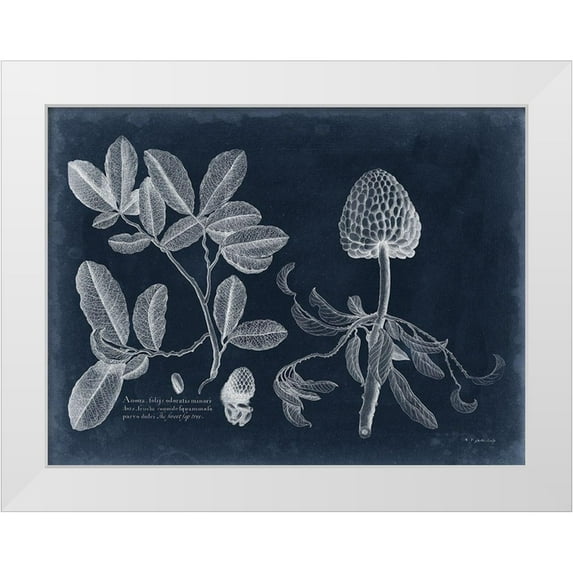 Vision Studio 18x15 White Modern Wood Framed Museum Art Print Titled - Foliage on Navy II