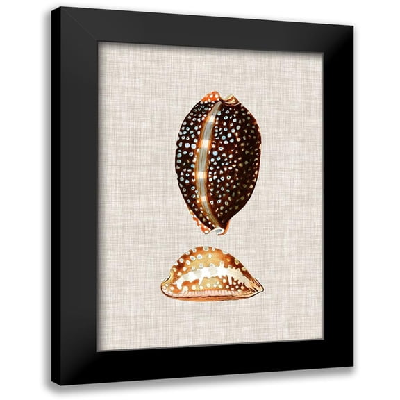 Vision Studio 18x24 Black Modern Framed Museum Art Print Titled - Antique Shells on Linen IV