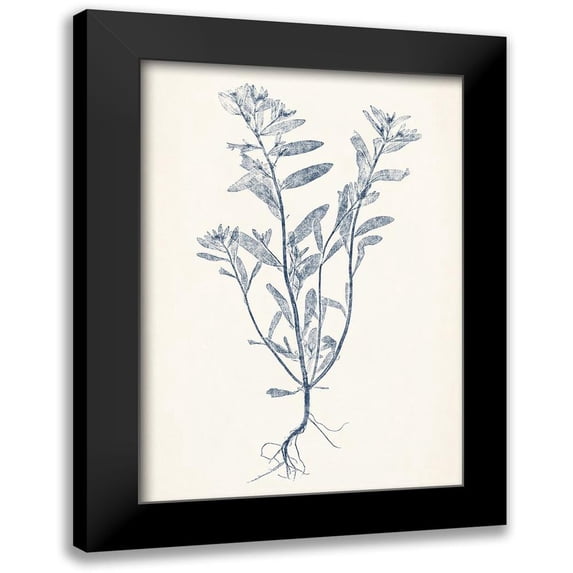 Vision Studio 18x24 Black Modern Framed Museum Art Print Titled - Navy Botanicals II