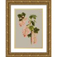 thumbnail image 1 of Vision Studio 18x24 Gold Ornate Wood Framed with Double Matting Museum Art Print Titled - Botanical Array V, 1 of 4