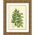 thumbnail image 1 of Vision Studio  18x24 Gold Ornate Wood Framed with Double Matting Museum Art Print Titled - Custom Terra Collection IV (KB), 1 of 4
