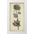 thumbnail image 1 of Vision Studio 18x32 White Modern Wood Framed Museum Art Print Titled - Singular Beauty I, 1 of 4