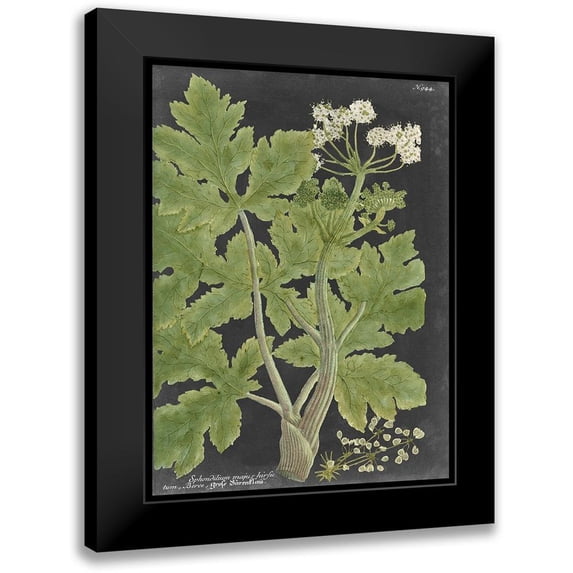 Vision Studio 19x24 Black Modern Framed Museum Art Print Titled - Dramatic Weinmann Greenery I