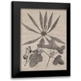 thumbnail image 1 of Vision Studio 19x24 Black Modern Framed Museum Art Print Titled - Eloquent Leaves III, 1 of 5