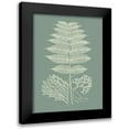 thumbnail image 1 of Vision Studio 19x24 Black Modern Framed Museum Art Print Titled - Ferns on Sage V, 1 of 5
