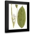 thumbnail image 1 of Vision Studio 19x24 Black Modern Framed Museum Art Print Titled - Leaves of the Tropics II, 1 of 5